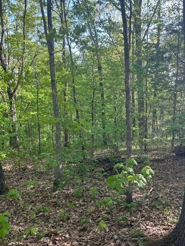 Juletta Circle, Bella Vista, AR 72715