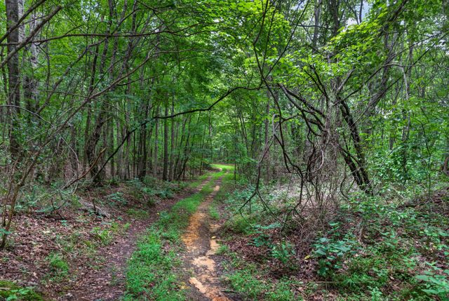 0 Eagle Cliff Rd, Monteagle, TN 37356