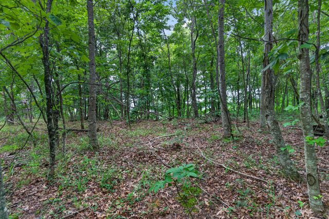 0 Eagle Cliff Rd, Monteagle, TN 37356
