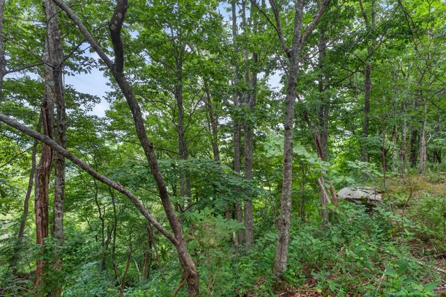 0 Eagle Cliff Rd, Monteagle, TN 37356