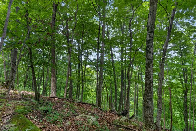 0 Eagle Cliff Rd, Monteagle, TN 37356