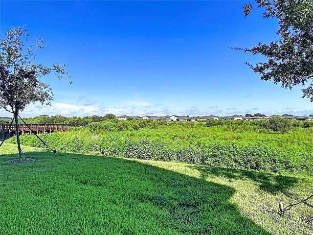 32196 CANNON RUSH DRIVE, San Antonio, FL 33576