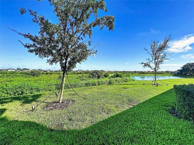 32196 CANNON RUSH DRIVE, San Antonio, FL 33576