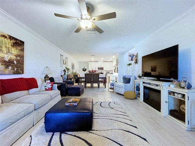 32196 CANNON RUSH DRIVE, San Antonio, FL 33576