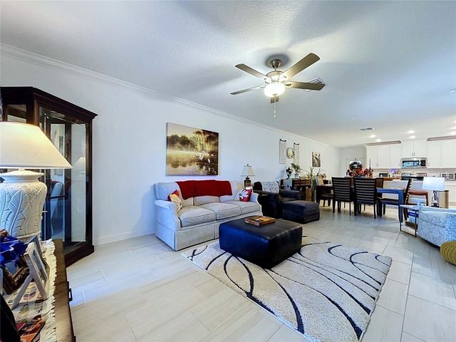 32196 CANNON RUSH DRIVE, San Antonio, FL 33576
