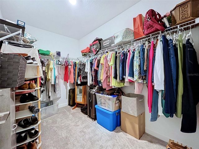 32196 CANNON RUSH DRIVE, San Antonio, FL 33576