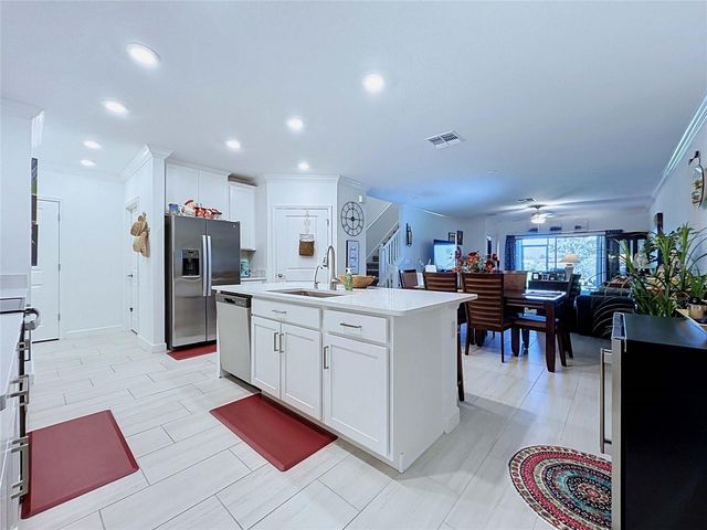 32196 CANNON RUSH DRIVE, San Antonio, FL 33576
