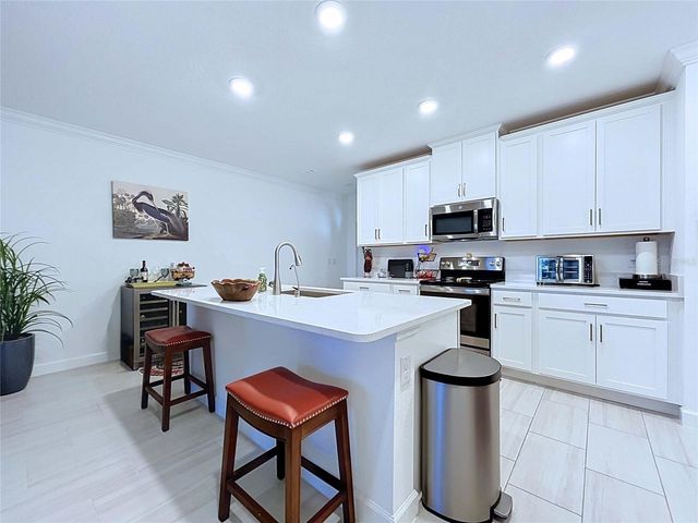 32196 CANNON RUSH DRIVE, San Antonio, FL 33576