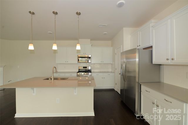 11024 Zac Hill Road, Davidson, NC 28036