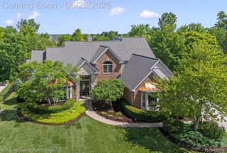 22878 Tree Top Court, Lyon Charter Township, MI 48178
