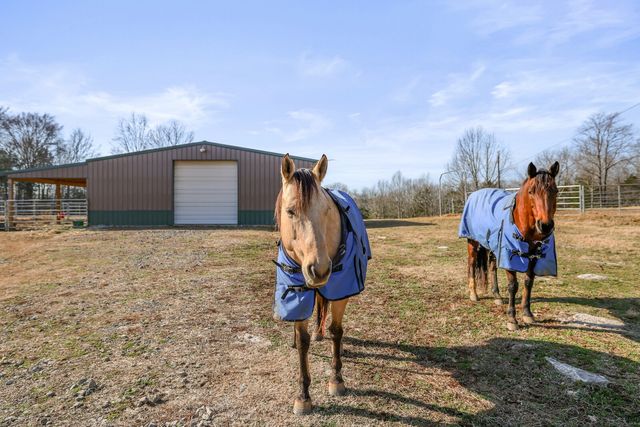 3755 Holmes Gap Rd, Watertown, TN 37184