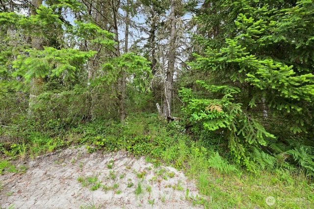 999 Blue Sky Drive, Port Townsend, WA 98368