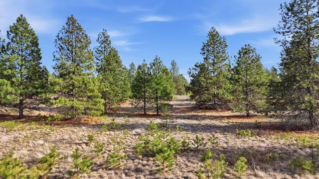 00 N Dover Rd, Medical Lake, WA 99022