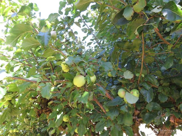 21 Wynooche Valley Road, Montesano, WA 98563