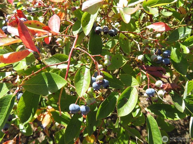 21 Wynooche Valley Road, Montesano, WA 98563