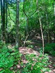TBD Double Creek Drive 6, Brevard, NC 28712