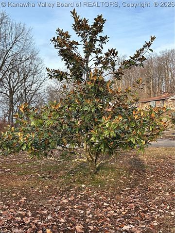 409 Wildlife Way, Clendenin, WV 25045