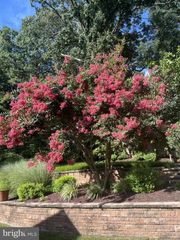 7003 POLINS CT, Alexandria, VA 22306