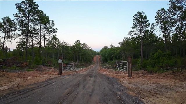 0000 Sweetwater Branch Road, Fort Mitchell, AL 36856