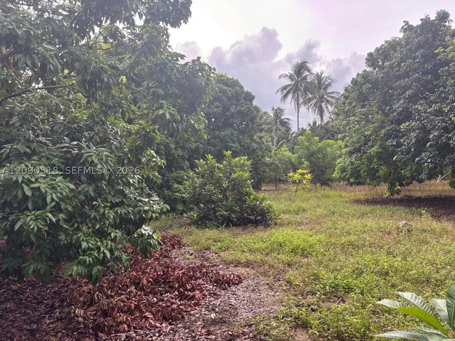 24350 SW 182 AVE, Homestead, FL 33031