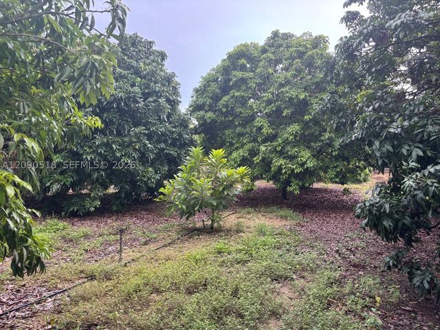 24350 SW 182 AVE, Homestead, FL 33031
