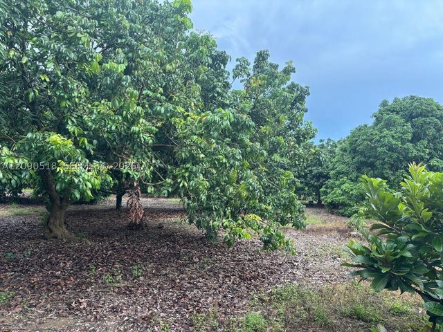 24350 SW 182 AVE, Homestead, FL 33031