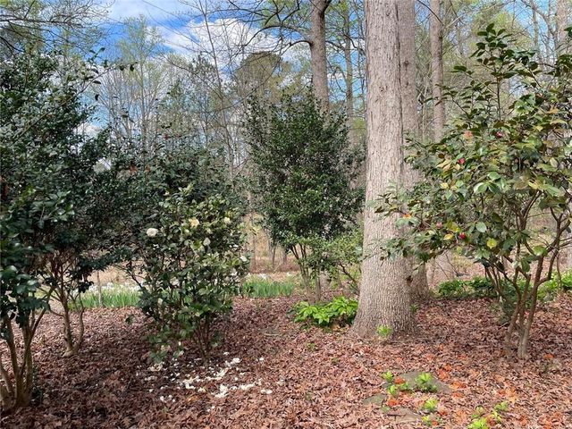2824 Asteria Pte, Duluth, GA 30097