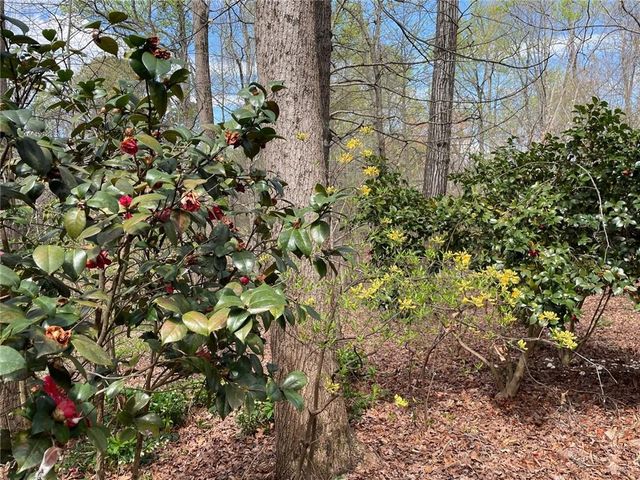 2824 Asteria Pte, Duluth, GA 30097