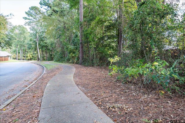 9109 LONG BRANCH DRIVE, Tyler, TX 75703