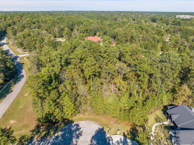 1930 Autumn Ridge Drive Drive, Conroe, TX 77304