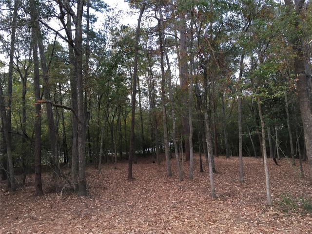 1930 Autumn Ridge Drive Drive, Conroe, TX 77304