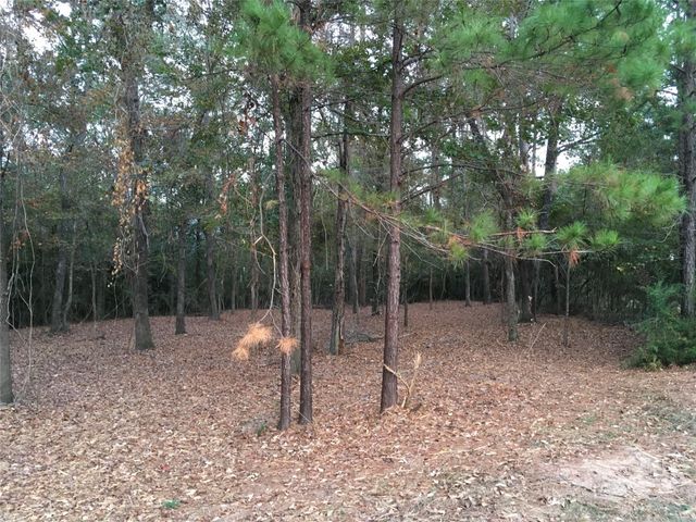 1930 Autumn Ridge Drive Drive, Conroe, TX 77304