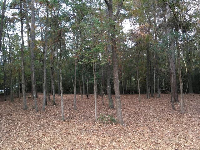 1930 Autumn Ridge Drive Drive, Conroe, TX 77304