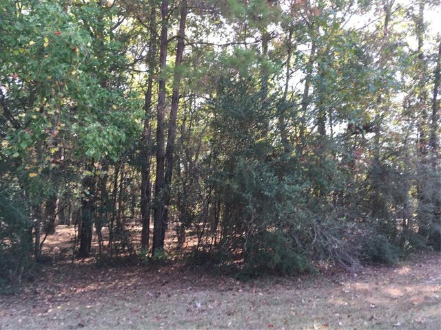 1930 Autumn Ridge Drive Drive, Conroe, TX 77304