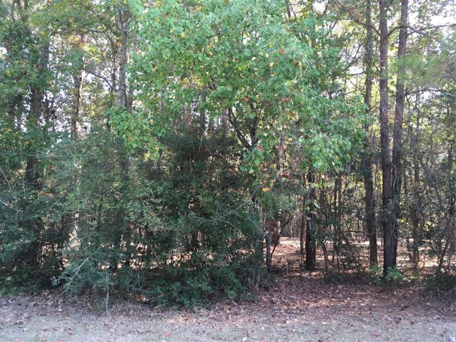 1930 Autumn Ridge Drive Drive, Conroe, TX 77304