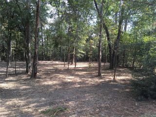 1930 Autumn Ridge Drive Drive, Conroe, TX 77304