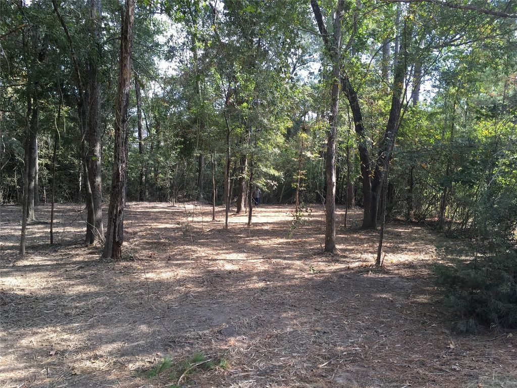 1930 Autumn Ridge Drive Drive, Conroe, TX 77304