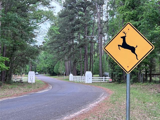 00 Chain Road, Livingston, TX 77351