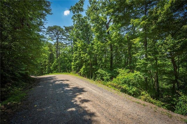 LT941 Myna Drive, Ellijay, GA 30540
