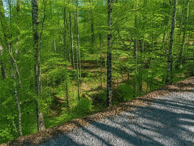 LT941 Myna Drive, Ellijay, GA 30540