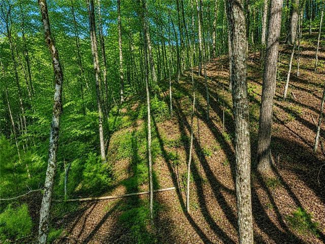 LT941 Myna Drive, Ellijay, GA 30540