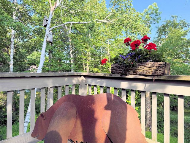 20 Blackberry Lane, Peru, VT 05152
