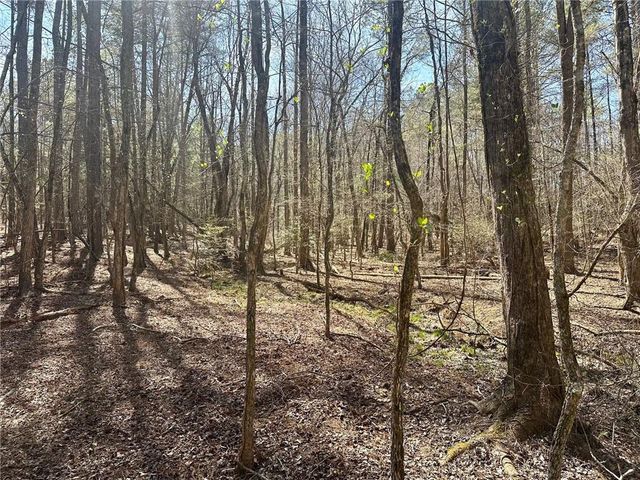 555 Larmon Forks Road, Dahlonega, GA 30533