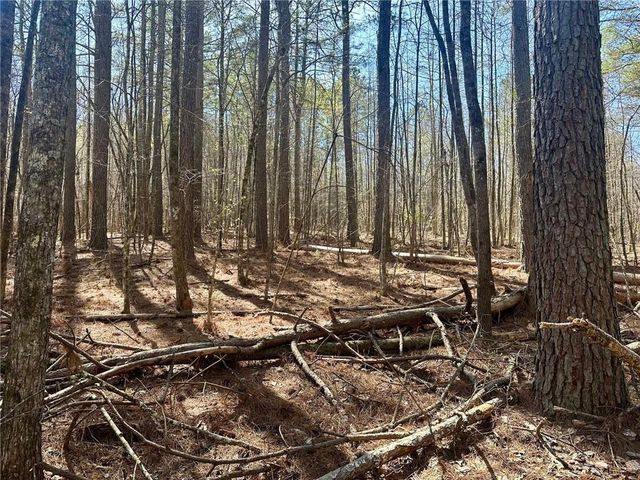 555 Larmon Forks Road, Dahlonega, GA 30533