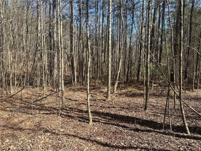 555 Larmon Forks Road, Dahlonega, GA 30533