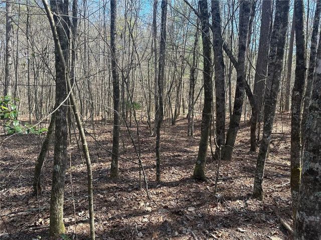 555 Larmon Forks Road, Dahlonega, GA 30533