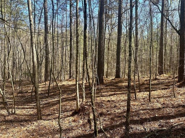 555 Larmon Forks Road, Dahlonega, GA 30533