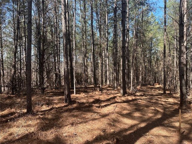 555 Larmon Forks Road, Dahlonega, GA 30533