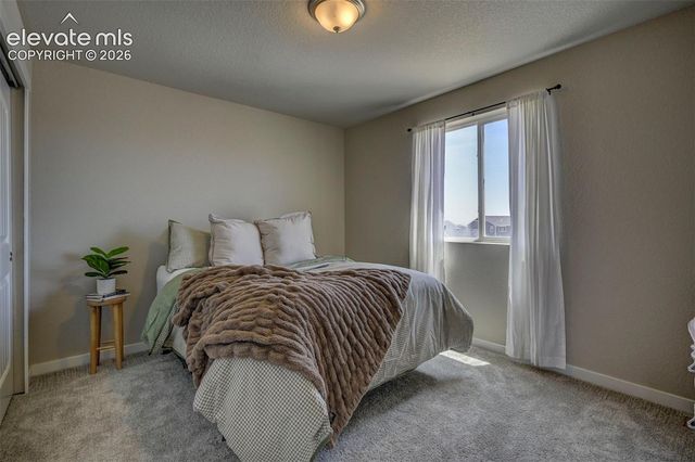 9186 Cut Bank Way, Colorado Springs, CO 80908