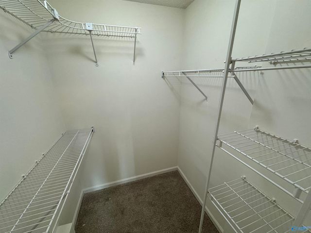 129 Telluride Drive, Madison, AL 35758